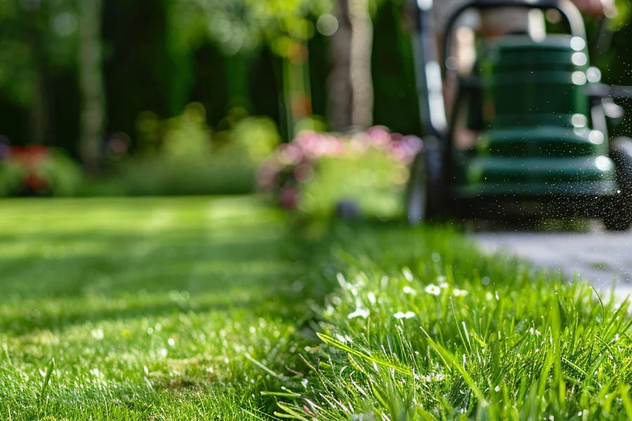 best cordless lawnmower